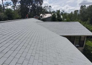 Roofers installing new asphalt shingles on residential home in Tallahassee.