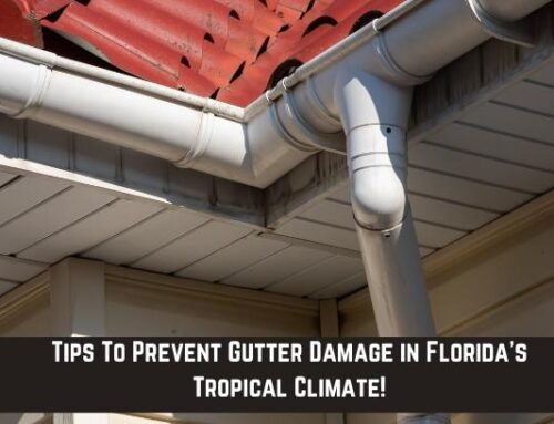 Tips To Prevent Gutter Damage in Florida’s Tropical Climate!