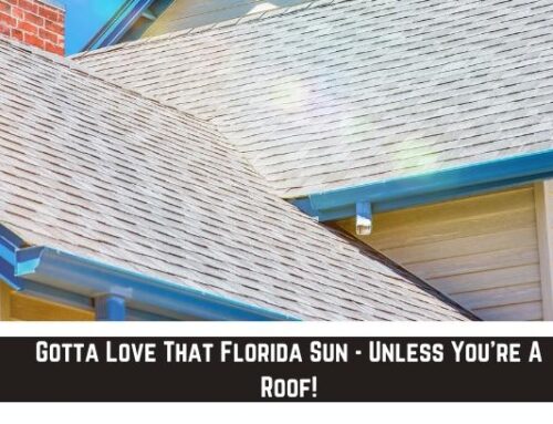 Gotta Love That Florida Sun – Unless You’re A Roof!