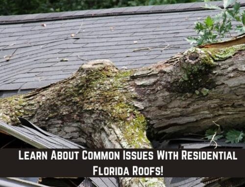 Learn About Common Issues With Residential Florida Roofs!