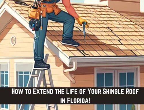 How to Extend the Life of Your Shingle Roof in Florida!