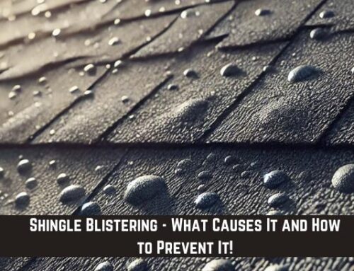 Shingle Blistering – What Causes It and How to Prevent It!