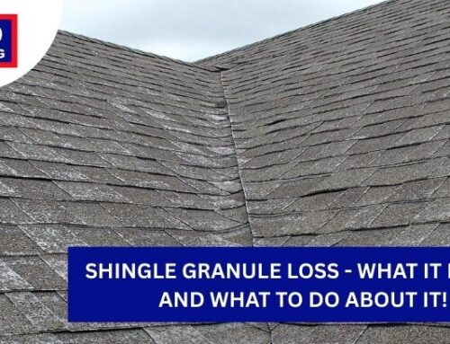 Shingle Granule Loss – What It Means and What to Do About It!