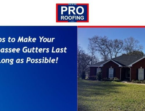 Tips to Make Your Tallahassee Gutters Last as Long as Possible!