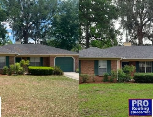 Replacement Completed, Tallahassee, FL